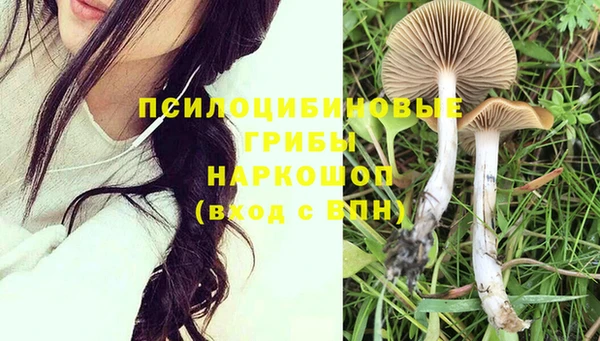 шишки Нефтекумск
