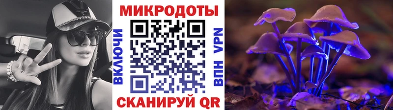Галлюциногенные грибы MAGIC MUSHROOMS  купить наркотик  МЕГА вход  Арск 